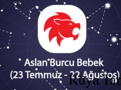 Aslan burcu özellikleri (23 temmuz – 22 ağustos)