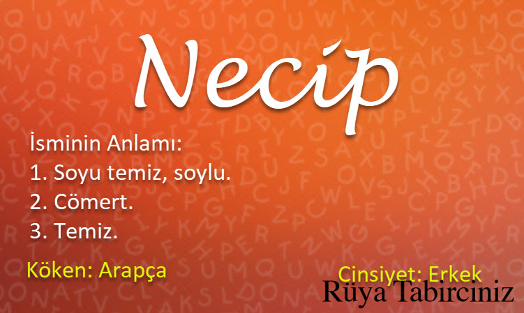 Necip isminin anlamı