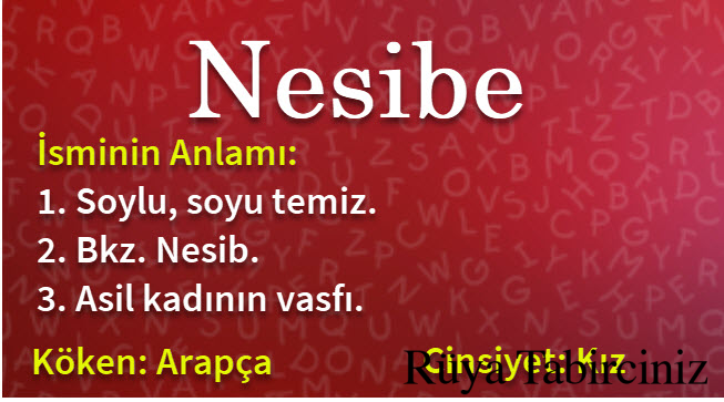 Nesib isminin anlamı