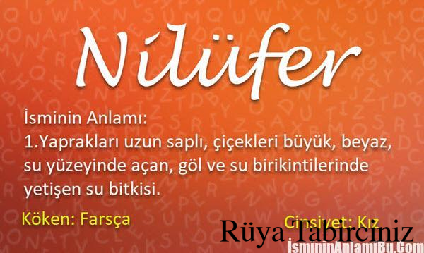 Nilüfer isminin anlamı