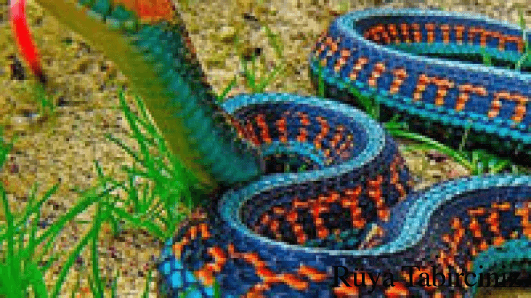 Rüyada renkli yılan görmek