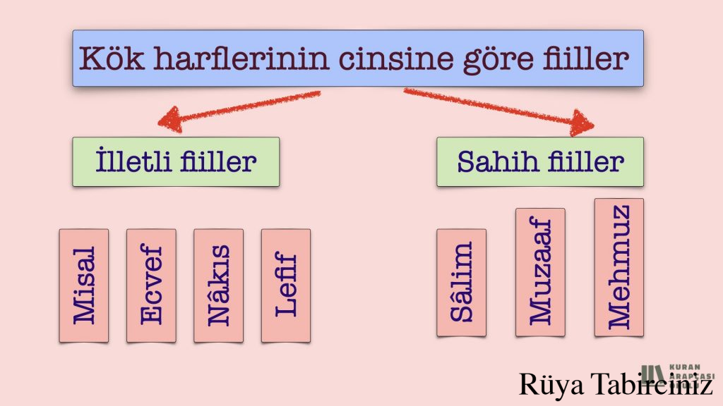 Lefif isminin anlamı